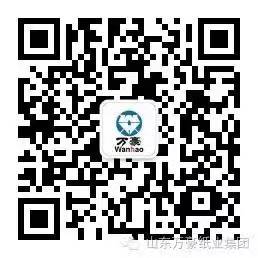 山东尊龙凯时纸业集团股份有限公司